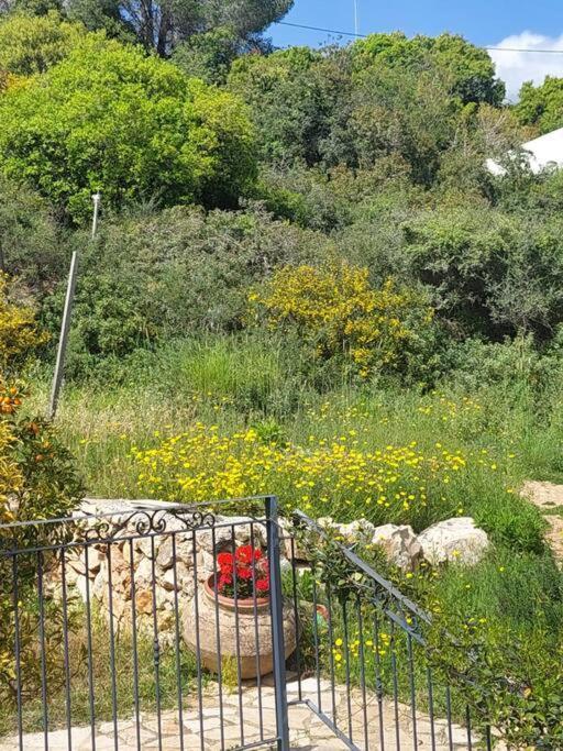 Hararit View נוף הררית公寓 外观 照片
