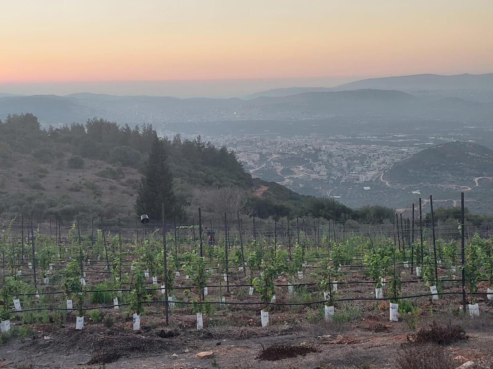 Hararit View נוף הררית公寓 外观 照片